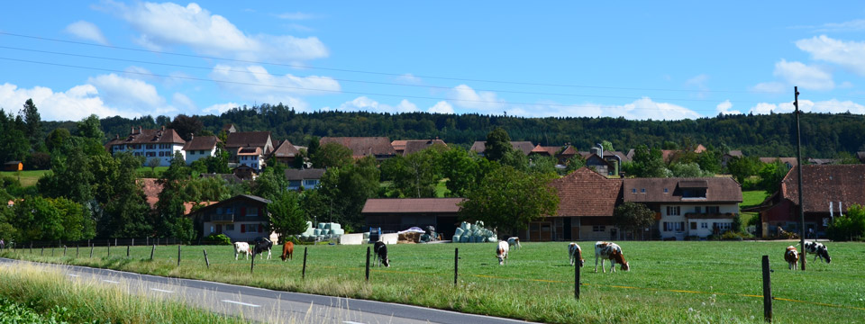 Gemeinde Vinelz