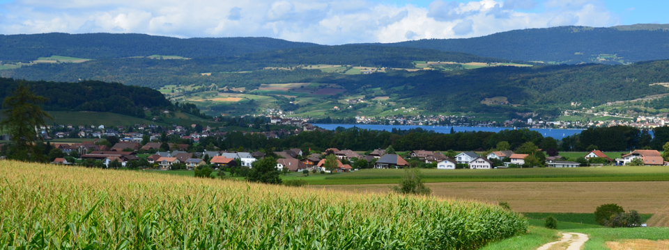 Gemeinde Vinelz